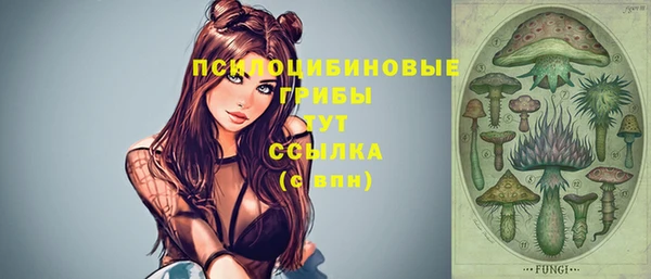 бошки Алексеевка